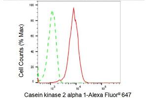 Flow cytometric analysis of Casein kinase 2 alpha 1 expression in HepG2 cells using Casein kinase 2 alpha 1 antibody (ABIN7797882), 1:2,000). (Recombinant CSNK2A1/CK II alpha anticorps)
