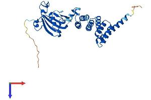 AlphaFold protein structure predicition of Human Recombinant FKBP6 Protein, UniprotID O75344