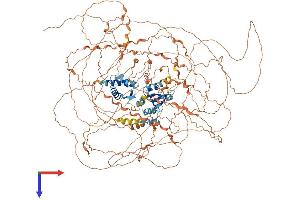 AlphaFold protein structure predicition of Mouse Recombinant Magel2 Protein, UniprotID Q9QZ04