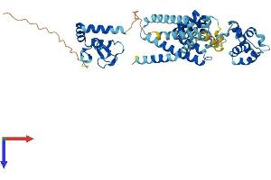 AlphaFold protein structure predicition of Mouse Recombinant Bfar Protein, UniprotID Q8R079
