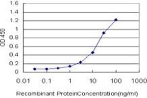 Detection limit for recombinant GST tagged PLGLB2 is approximately 0. (PLGLB2 anticorps  (AA 21-96))