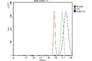 Flow Cytometry analysis of U87 cells using anti-RAB13 antibody (ABIN7600599). (RAB13 anticorps  (AA 21-200))