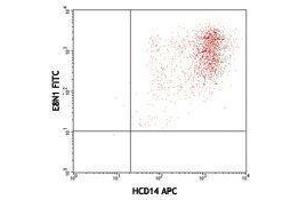 Flow Cytometry (FACS) image for anti-Interleukin 8 (IL8) antibody (FITC) (ABIN2661951) (IL-8 anticorps  (FITC))