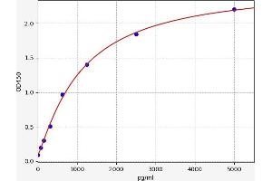 Matrix Metallopeptidase 1 (Interstitial Collagenase) (MMP1) ELISA Kit