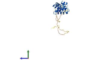 AlphaFold protein structure predicition of Human Recombinant RGS4 Protein, UniprotID P49798