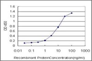 ELISA image for anti-serine/threonine Kinase 38 (STK38) (AA 365-466) antibody (ABIN954986)