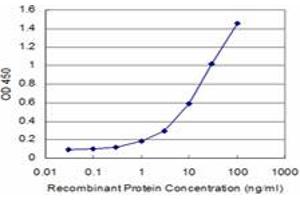 ELISA image for anti-V-Akt Murine Thymoma Viral Oncogene Homolog 2 (AKT2) (AA 100-189) antibody (ABIN599349) (AKT2 anticorps  (AA 100-189))