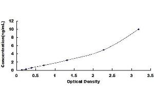 Typical standard curve (SPTBN4 Kit ELISA)