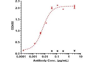 Immobilized human TREM1 His at 2 μg/mL can bind Anti-TREM1 / CD354 Reference Antibody (PY159), EC50=0.