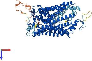 AlphaFold protein structure predicition of Mouse Recombinant Slc6a13 Protein, UniprotID P31649