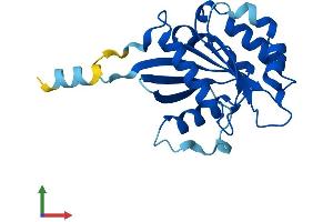 AlphaFold protein structure predicition of Human Recombinant ARFRP1 Protein, UniprotID Q13795