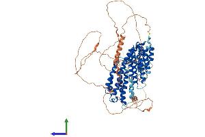 AlphaFold protein structure predicition of Human Recombinant RFX4 Protein, UniprotID Q33E94