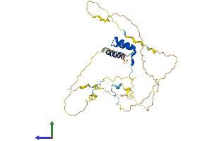 AlphaFold protein structure predicition of Human Recombinant HOXA4 Protein, UniprotID Q00056