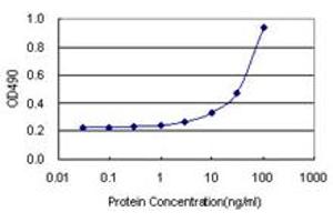 Sandwich ELISA detection sensitivity ranging from 3 ng/mL to 100 ng/mL. (HIP1 (Humain) Matched Antibody Pair)