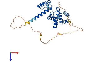 AlphaFold protein structure predicition of Human Recombinant SIX2 Protein, UniprotID Q9NPC8