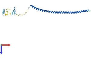 AlphaFold protein structure predicition of Human Recombinant STMN2 Protein, UniprotID Q93045