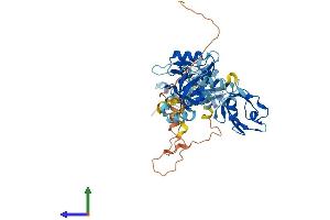 AlphaFold protein structure predicition of Mouse Recombinant Pdzk1 Protein, UniprotID Q9JIL4