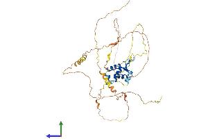 AlphaFold protein structure predicition of Human Recombinant FOXD4 Protein, UniprotID Q12950