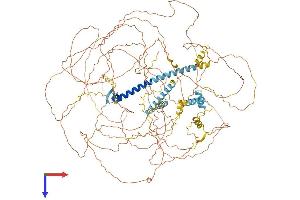 AlphaFold protein structure predicition of Mouse Recombinant Atn1 Protein, UniprotID O35126