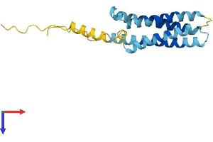 AlphaFold protein structure predicition of Human Recombinant CMTM6 Protein, UniprotID Q9NX76