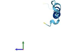 AlphaFold protein structure predicition of Mouse Recombinant Tomm7 Protein, UniprotID Q9D173
