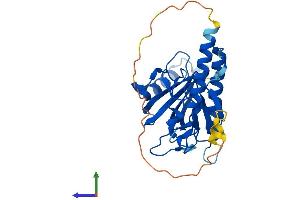 AlphaFold protein structure predicition of Human Recombinant PLEKHF1 Protein, UniprotID Q96S99