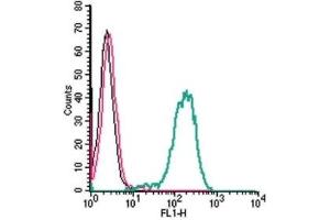 Cell surface detection of Frizzled-1 by indirect flow cytometry in live intact human THP-1 monocytic leukemia cells: (black line) Cells.