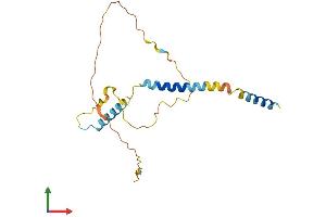AlphaFold protein structure predicition of Mouse Recombinant Bcl2l11 Protein, UniprotID O54918