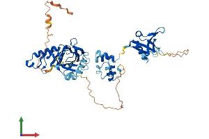 AlphaFold protein structure predicition of Mouse Recombinant Tfcp2l1 Protein, UniprotID Q3UNW5