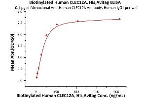 Immobilized Monoclonal A CLEC12A Antibody, Human IgG1 at 1 μg/mL (100 μL/well) can bind Biotinylated Human CLEC12A, His,Avitag (ABIN6973031) with a linear range of 5-78 ng/mL (Routinely tested).
