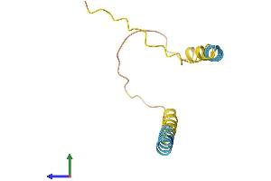 AlphaFold protein structure predicition of Mouse Recombinant Pmaip1 Protein, UniprotID Q9JM54