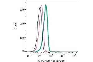 Cell surface detection of TrkB in a live intact human Jurkat T-cell leukemia cell line:___ Cells.