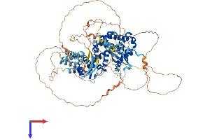 AlphaFold protein structure predicition of Mouse Recombinant Ralgds Protein, UniprotID Q03385