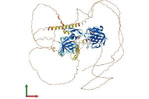 AlphaFold protein structure predicition of Mouse Recombinant Oxr1 Protein, UniprotID Q4KMM3
