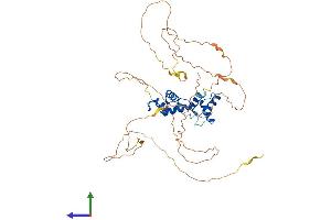 AlphaFold protein structure predicition of Mouse Recombinant Pax1 Protein, UniprotID P09084