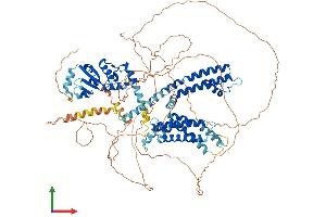AlphaFold protein structure predicition of Human Recombinant KCNB2 Protein, UniprotID Q92953