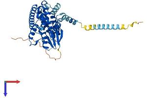 AlphaFold protein structure predicition of Mouse Recombinant Gdap1 Protein, UniprotID O88741