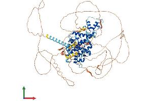 AlphaFold protein structure predicition of Human Recombinant AR Protein, UniprotID P10275
