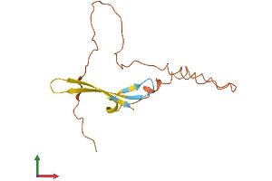 AlphaFold protein structure predicition of Human Recombinant ZNF815P Protein, UniprotID A8K554