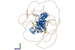 AlphaFold protein structure predicition of Mouse Recombinant Ptpn21 Protein, UniprotID Q62136