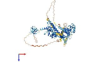 AlphaFold protein structure predicition of Mouse Recombinant Eps8l1 Protein, UniprotID Q8R5F8