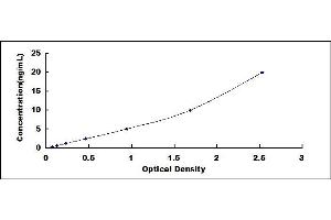 Typical standard curve (PRSS23 Kit ELISA)