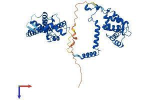 AlphaFold protein structure predicition of Mouse Recombinant Rgs11 Protein, UniprotID Q9Z2H1