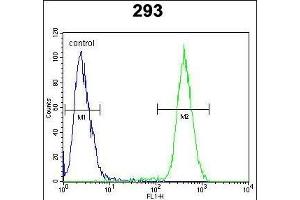CLG Antibody (Center) (ABIN652066 and ABIN2840534) flow cytometric analysis of 293 cells (right histogr) compared to a negative control cell (left histogr).