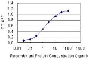 Detection limit for recombinant GST tagged C6orf115 is 0.