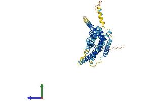 AlphaFold protein structure predicition of Human Recombinant GPER1 Protein, UniprotID Q99527