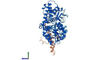 AlphaFold protein structure predicition of Human Recombinant NT5DC2 Protein, UniprotID Q9H857