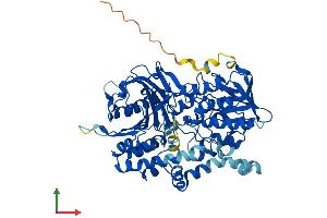 AlphaFold protein structure predicition of Mouse Recombinant Pyroxd2 Protein, UniprotID Q3U4I7
