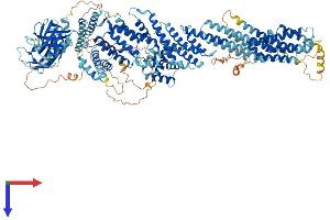 AlphaFold protein structure predicition of Human Recombinant CADPS2 Protein, UniprotID Q86UW7