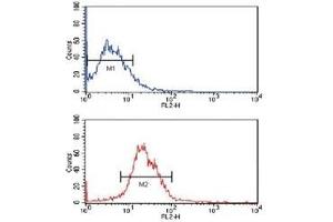 Flow cytometric analysis of MCF-7 cells using KLF4 antibody (bottom histogram) compared to a negative control (top histogram).